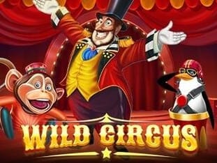 Wild Circus